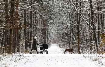 Woman with pram and dog walking along snowy paths in Grunewald