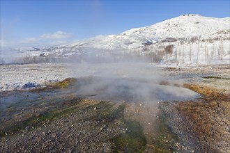 Geothermal area of Geysir in the Haukadalur valley