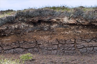 Peat hag showing exposed layers of turf