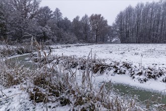 Snow-covered winter landscape and frozen moat in the Hamburg Vier- und Marschlanden Hamburg