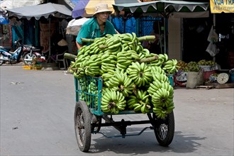 Man with tricycle full of bananas