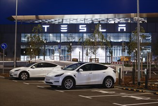 Tesla vehicles are charged at the Tesla Gigafactory