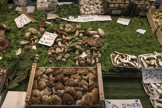 Fresh mushrooms at a stall in the large market hall