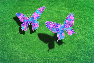 Two butterflies above a green meadow on a green background with shadows