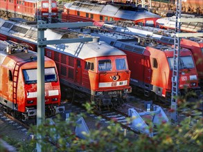 DB Cargo class 185 and class 232 locomotives standing in the DB Cargo marshalling yard in Halle