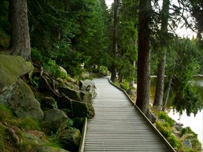 Wooden plank path along the Mummelsee lake