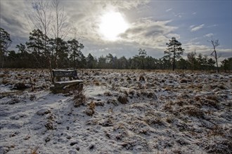 Snow-covered winter landscape with bench in the Tister Bauernmoor nature reserve