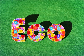 The English word Eco
