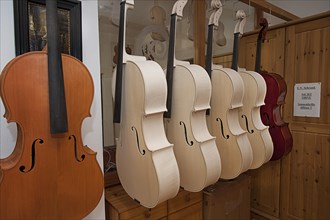 Cellos hanging in front of UV cabinet