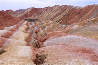 Colourful badlands in the Zhangye National Geopark