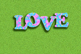 The word Love written with flowers in baby colours pink and light blue on a green background