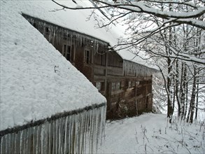 Black Forest farm in winter
