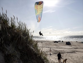 Paragliders flying over a beach at the North Sea