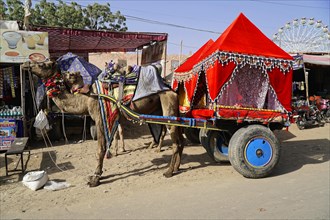 Camel cart