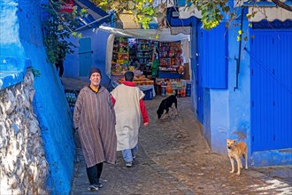Muslim man wearing traditional djellaba and grocery shop in alleyway in blue medina