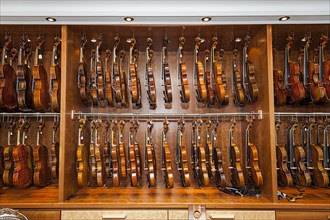 Violins from violin maker Rainer Leonhardt
