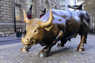 New York. Manhattan. Wall Street Bull