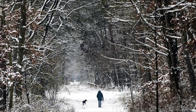 Man with dog running along a path in the snowy Grunewald