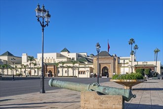 Old cannon and Gate of the Dar al-Makhzen