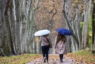 Autumn walk with umbrella in rainy weather