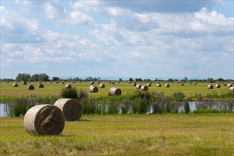 Puszta and steppe landscape with hay bales and lake near Kungyoergy in Hortobagy National Park