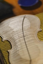 Front and back plates of new raw handmade classic violin on a workbench in violinmaker artisan workshop and purfling fillet made of evony and ivory or pear wood ready to be inserted in the carved all ...