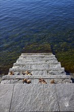 Steps into the water with dried leaves on the shore of Lake Maggiore in Ascona