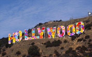 Lettering Hollywood