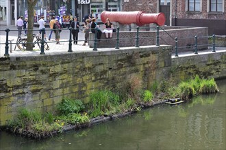 Floating artificial nesting platform in canal for waterfowl in the city Ghent