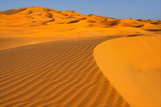 Sand ripples on wind-swept sand dune of Erg Chebbi in the Sahara Desert at sunset near Merzouga