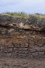Peat hag showing exposed layers of turf