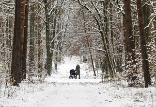Woman with pram walking along snowy paths in Grunewald