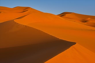 Wind-swept sand dunes of Erg Chebbi in the Sahara Desert near Merzouga