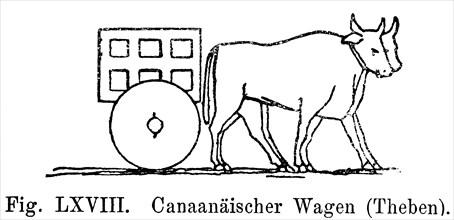 Canaaian wagon