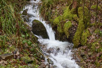 Small stream with blurred water movement through a forest near Waldkirch