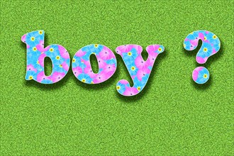 The English word Boy for boy