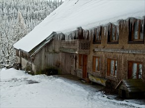 Black Forest farm in winter