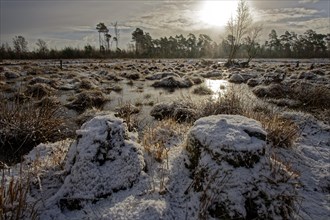 Snow-covered winter landscape in the Tister Bauernmoor nature reserve