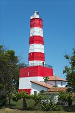 A red and white striped lighthouse stands under a blue sky surrounded by green