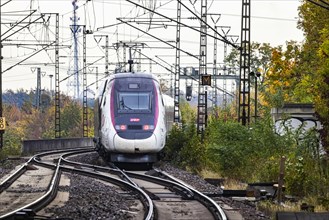 TGV travelling on the Schusterbahn
