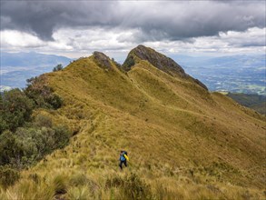 Mountaineer hiking through the Paramo landscape at Pasochoa