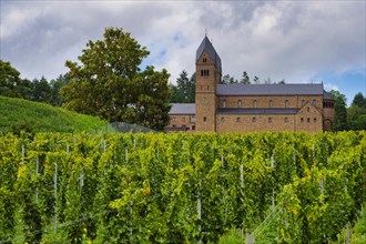 Eibingen or Saint Hildegard Benedictine Abbey surrounded by vineyards, Rudesheim, Hesse, Germany,