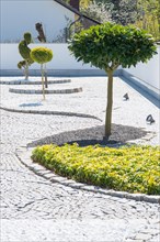 Modern garden with geometric shapes and spotlights, orderly garden with artfully trimmed trees and