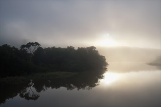 Morning fog on the Amana River, an Amazon tributary, Amazonas state, Brazil, South America