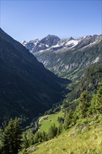 View of the Zemmtal valley, narrow mountain valley with rocky mountain peaks, Grosser Greiner and