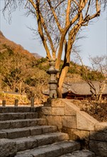 Stone carved Buddhist lantern on top of steps at mountain temple