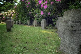 Old cemetery with gravestones and flowering shrubs in the background, Wuppertal Elberfeld, North