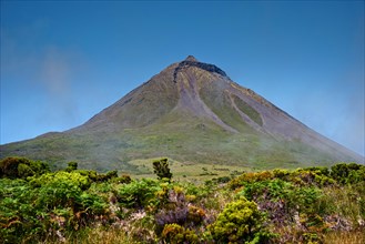 The picturesque Pico volcano rises up in a green landscape, Highlands, Pico Island, Azores,