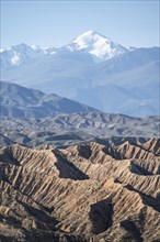 Canyons in desert landscape, mountains of the Tian Shan in the background, eroded hilly landscape,