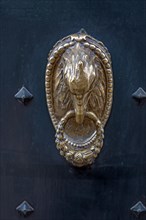 Eagle's head as a door knocker in the historic city centre, Genoa, Italy, Europe